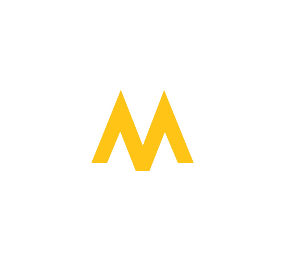 VisioNYC